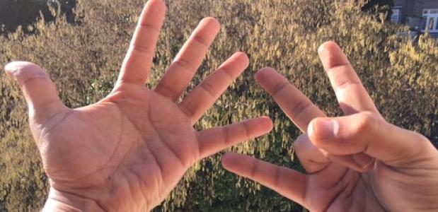 cursus 8-voudig pad Yoga Utrecht