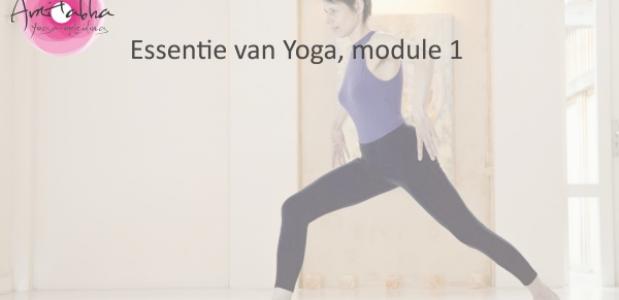 Essentie van Yoga, opleiding Amitabha.