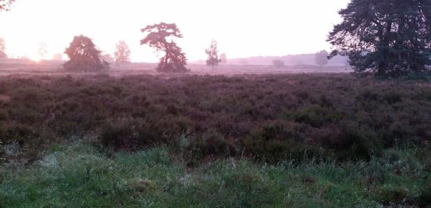 Yin Yoga vakantie in eigen land Yin Yoga weekend