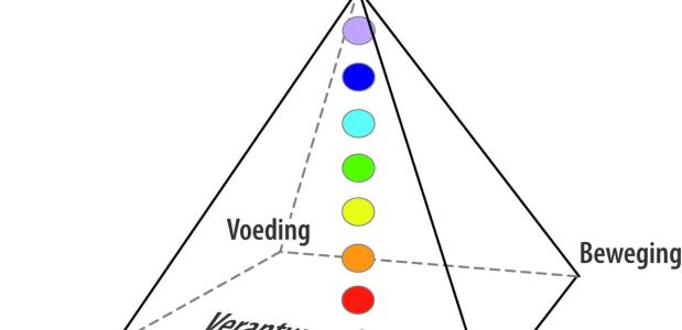 De piramide van inzicht. Beeld via Evert Heintz De piramide van inzicht. Beeld via Evert Heintz