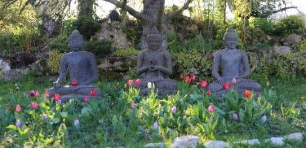 blog boeddhisme Plum Village