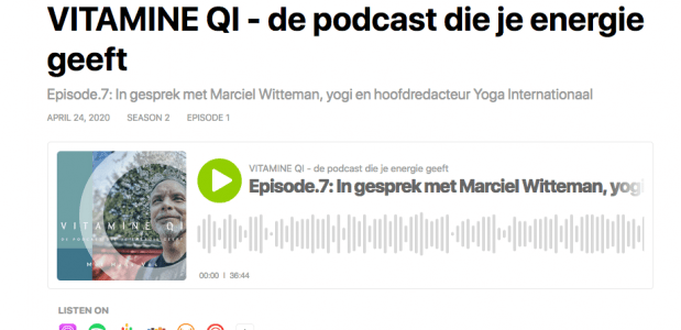 Vitamine QI podcast Hans Vos interviewt Marciel Witteman