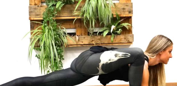 Utthan Pristhasana – Lizard Pose Utthan Pristhasana – Lizard Pose