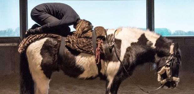Paardenyoga