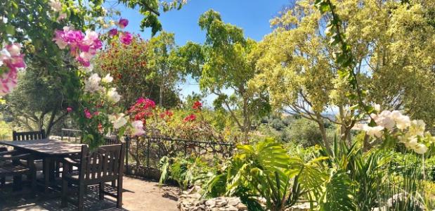 Marciel Witteman Yogaretreat