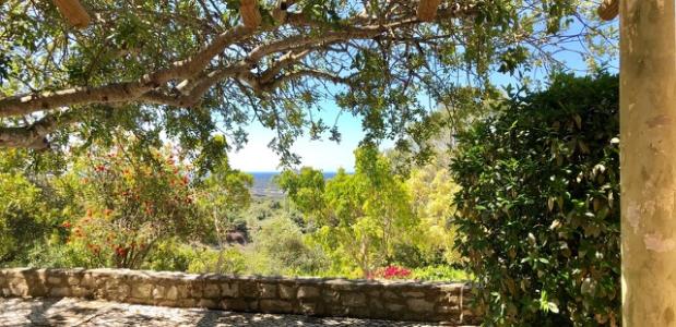 Marciel Witteman Yogaretreat