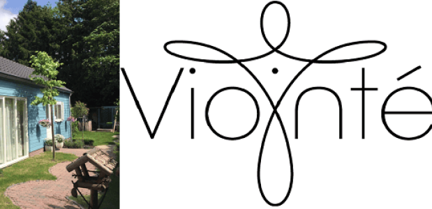 Vionté studio