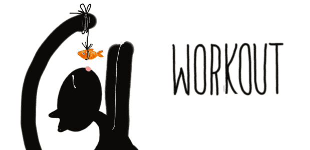 het boek Yoga thuis