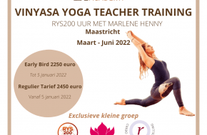 https://www.lively-academy.com/events/vinyasa-yoga-teacher-training-rys200/#tab-id-2