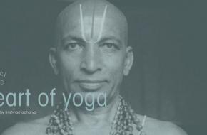 Land of now yoga