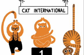 PRIJSVRAAG voor onze kattenminnende lezers PRIJSVRAAG voor onze kattenminnende lezers