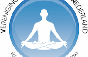 Verenigde Yoga Scholen