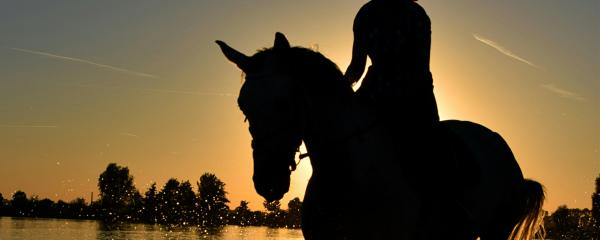 Paardenyoga