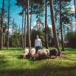 Schaapfulness interview Daniel Versteegh