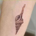 shell tattoo